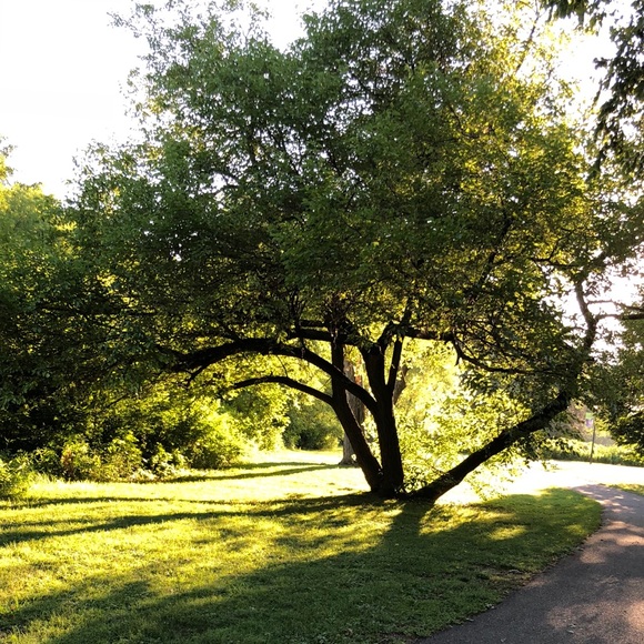 Welcome to my Closet! - Picture 6 of 8